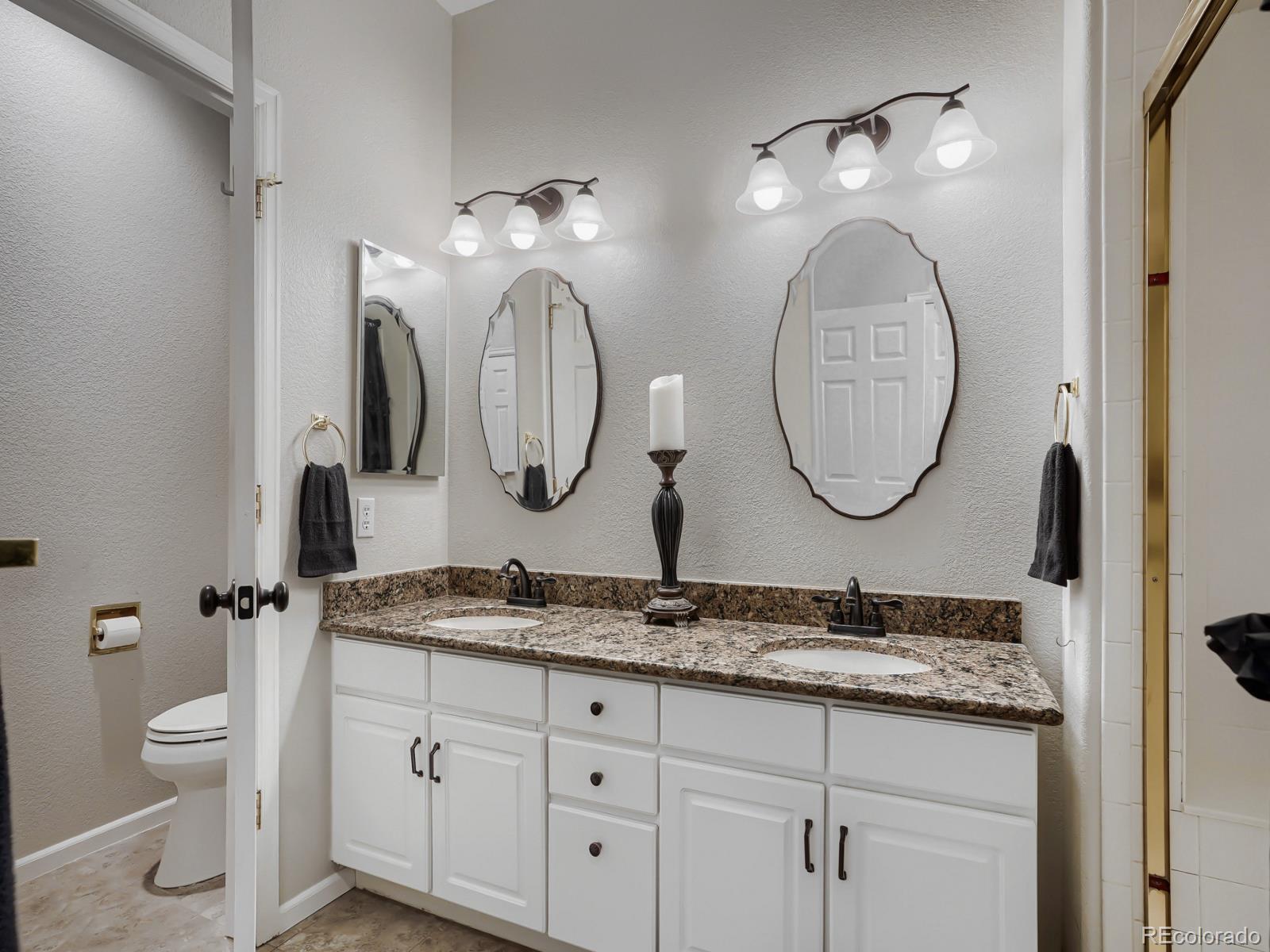 36 Woodland Circle Highlands Ranch, CO 80126 - Photo 19 of 22