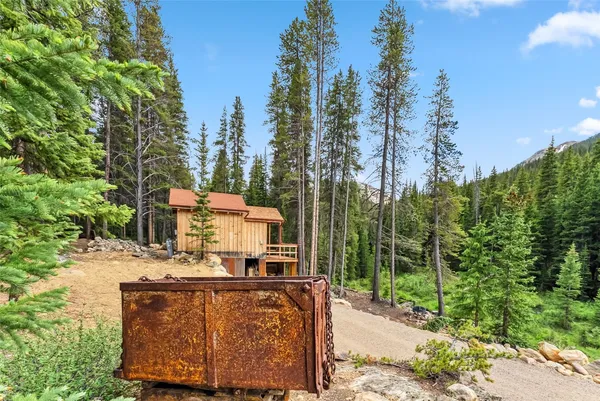 a view of a back yard with trees