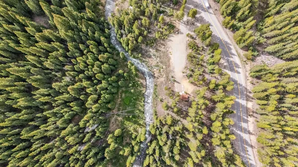 a view of a tree
