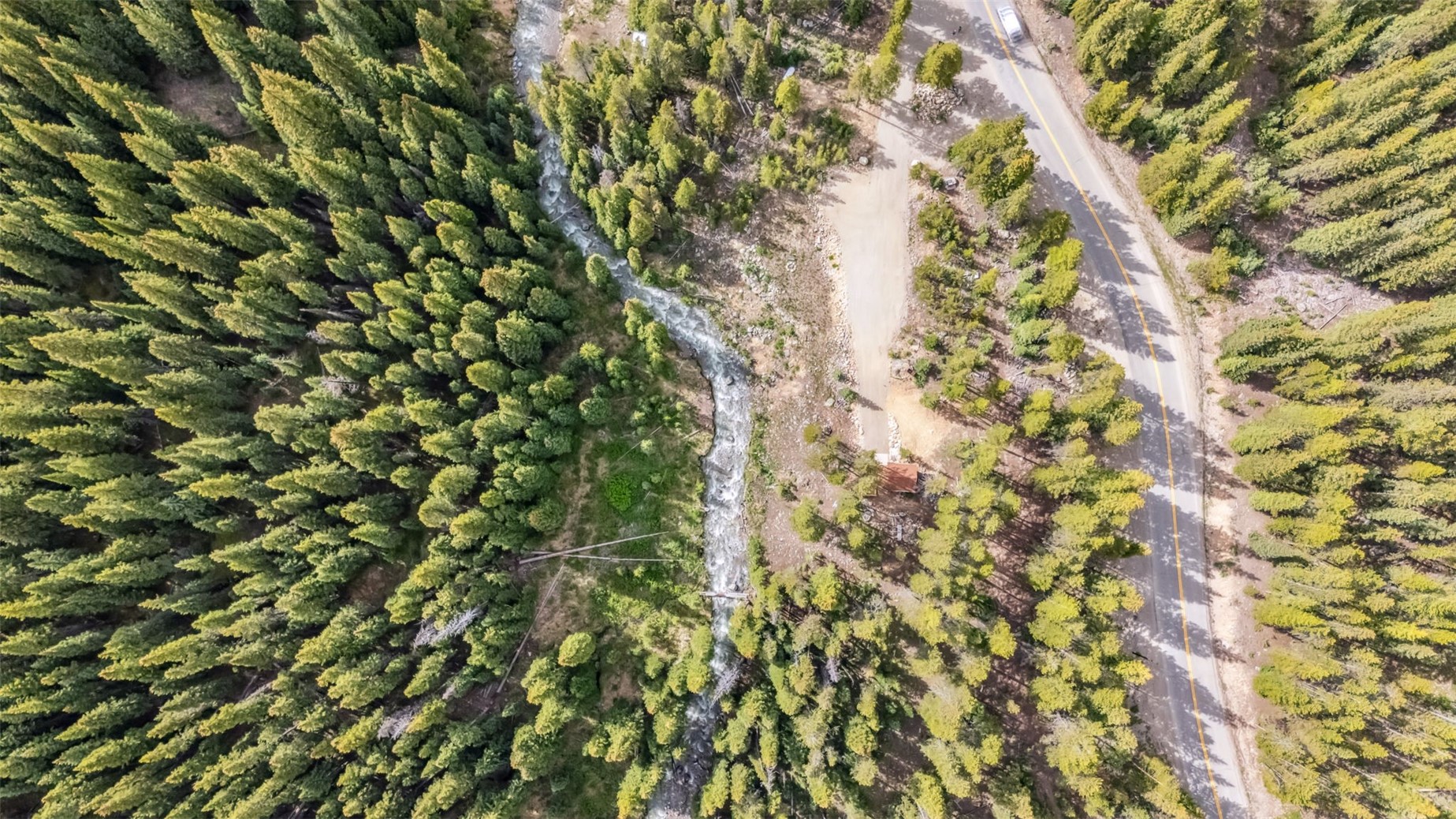 5080 Montezuma Road Dillon, CO 80435 - Photo 15 of 24 a view of a tree