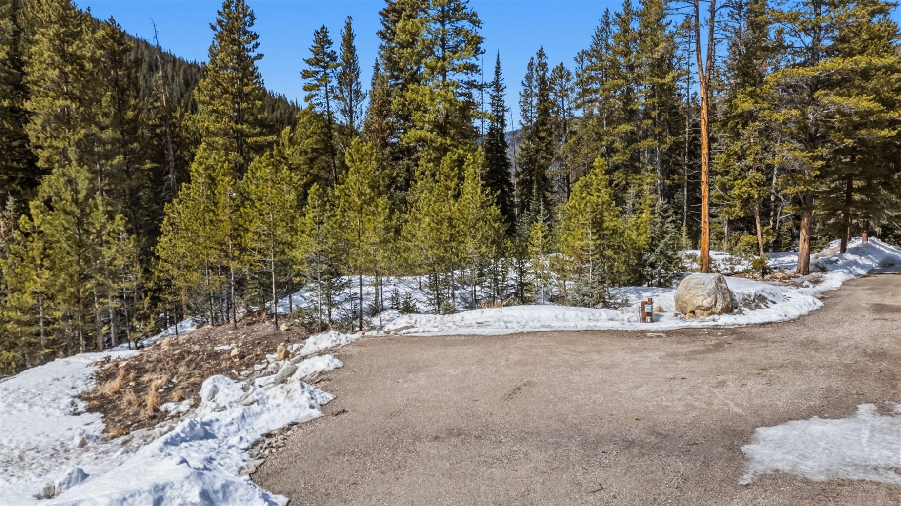 5080 Montezuma Road Dillon, CO 80435 - Photo 22 of 24 a view of a yard with a trees