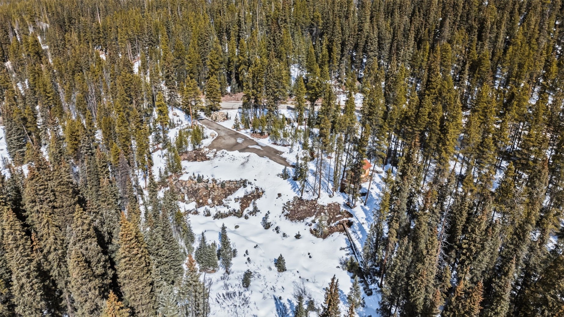 5080 Montezuma Road Dillon, CO 80435 - Photo 5 of 24 a picture of tree