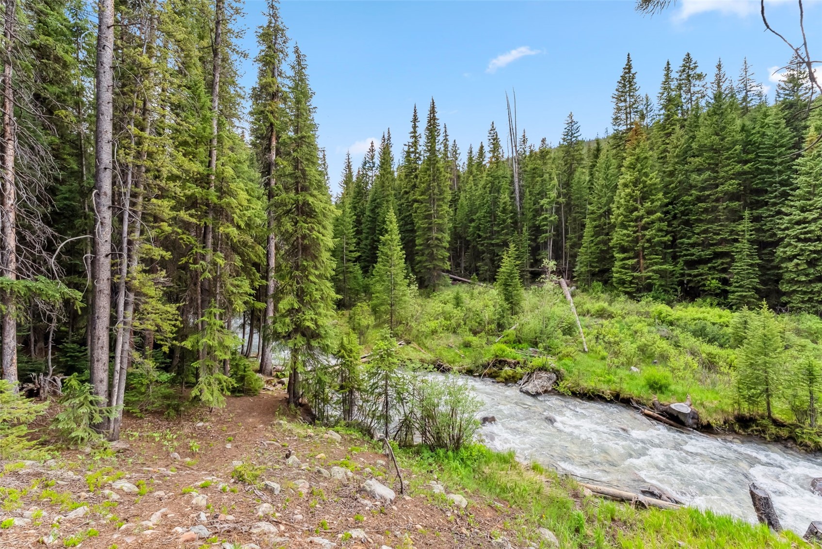 5080 Montezuma Road Dillon, CO 80435 - Photo 6 of 24 a view of a garden with trees