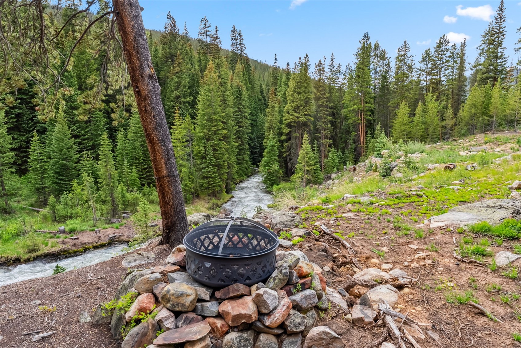 5080 Montezuma Road Dillon, CO 80435 - Photo 8 of 24 a view of a backyard with green space