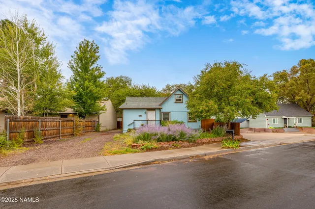 a view of road with large trees