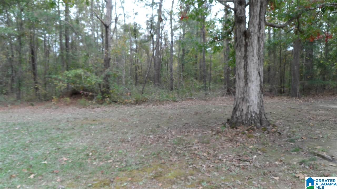 623 Alford Road Piedmont, AL 36272 - Photo 20 of 22