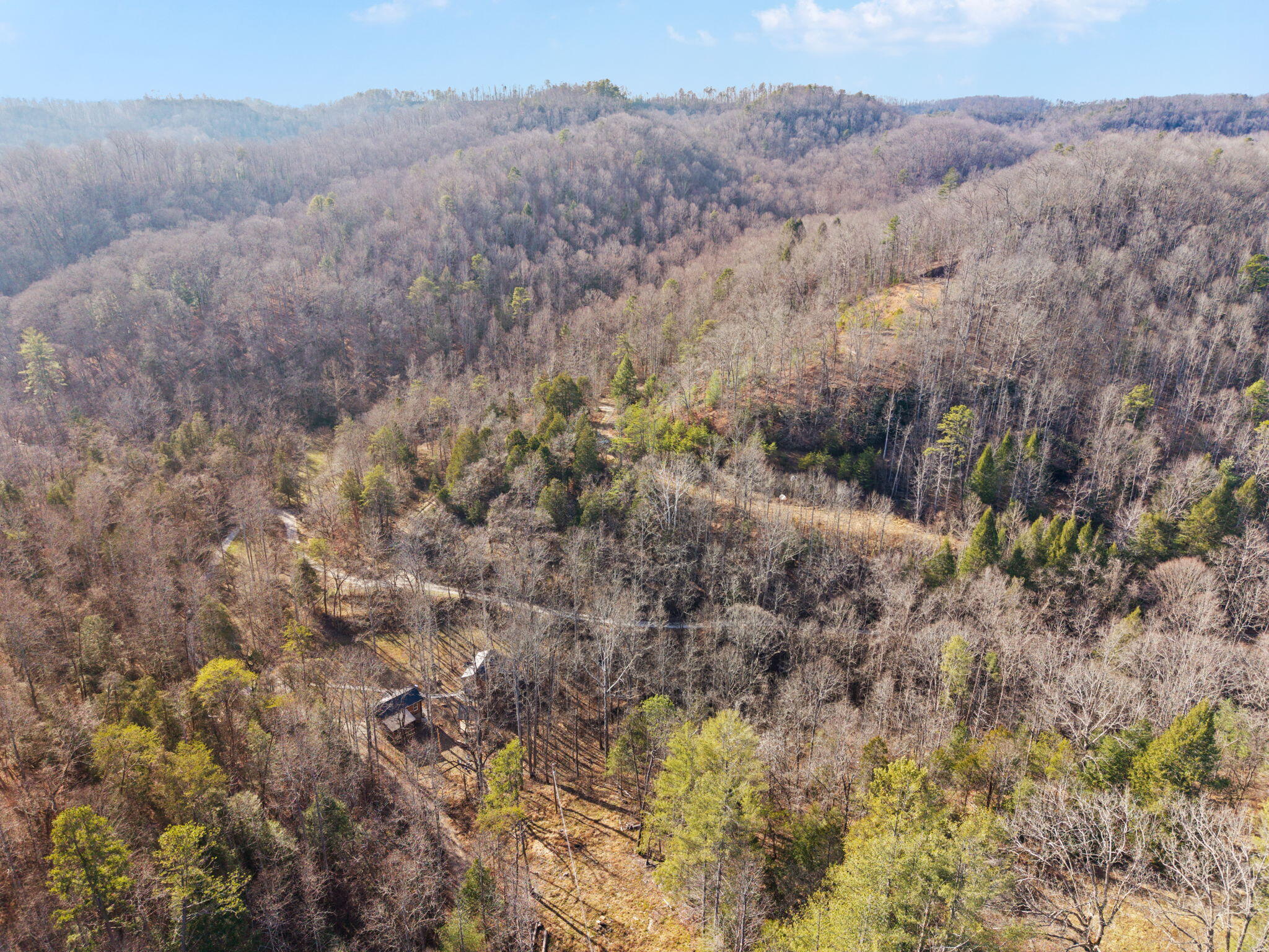 22 Still Hand Zoe, KY 41397 - Photo 61 of 76 79-web-or-mls-DJI_20260107142226_0066_D