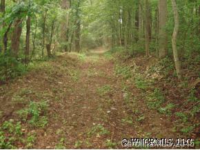 473 Beaverdam Road, Unit 3 Asheville, NC 28804 - Photo 3 of 3 Gallery Image 3