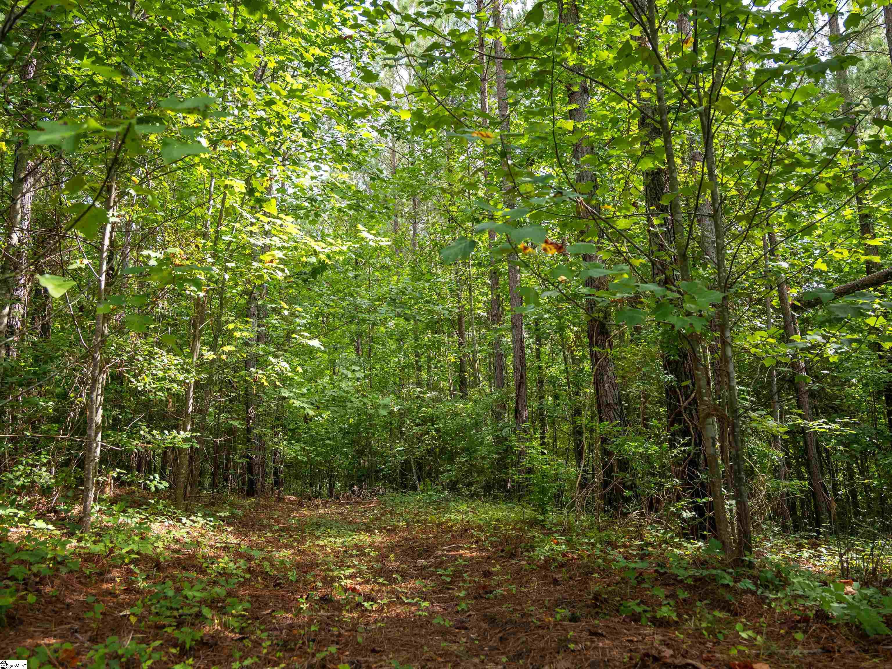 0 Pinedale Road Liberty, SC 29657 - Photo 4 of 11