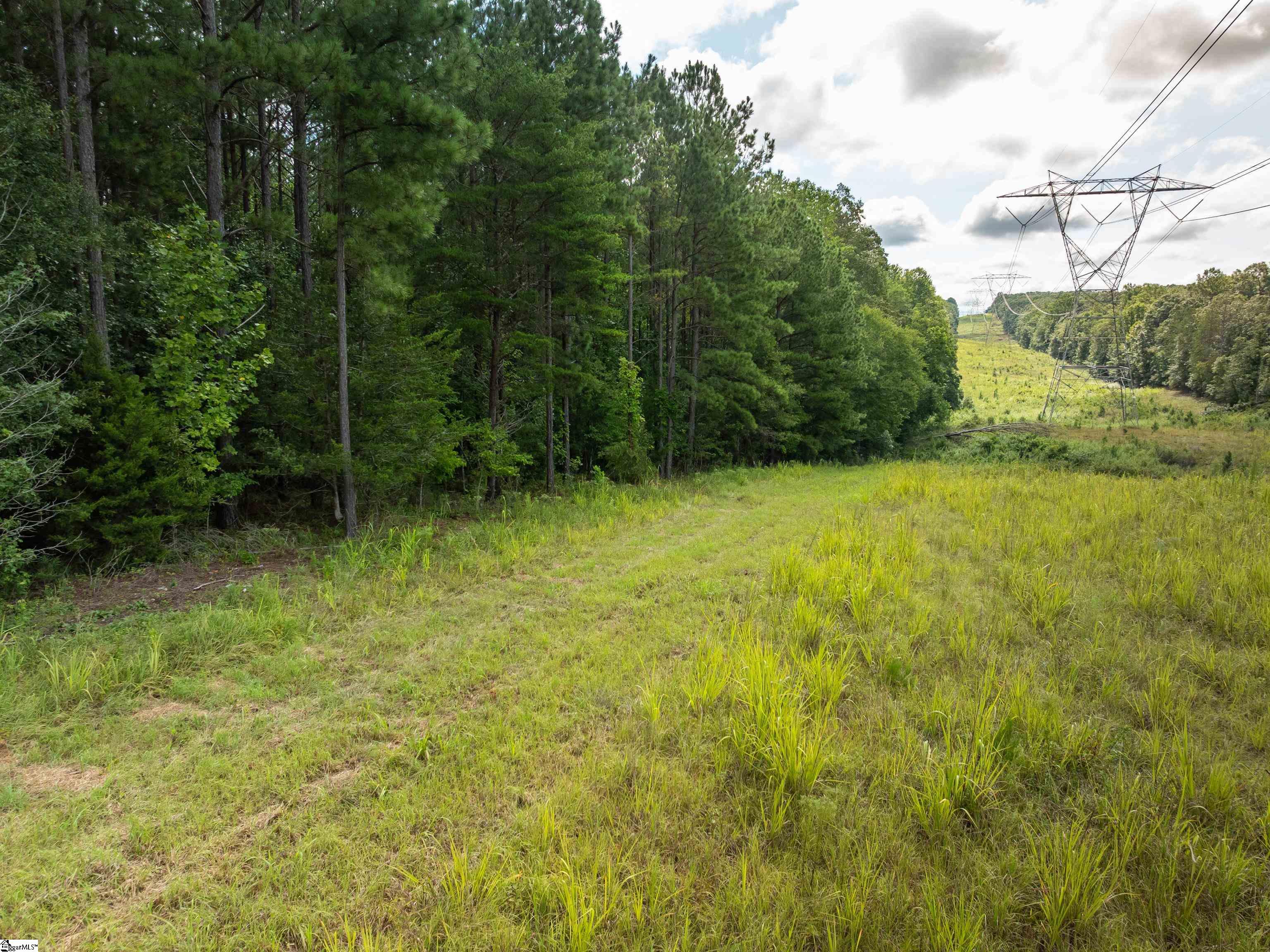 0 Pinedale Road Liberty, SC 29657 - Photo 7 of 11
