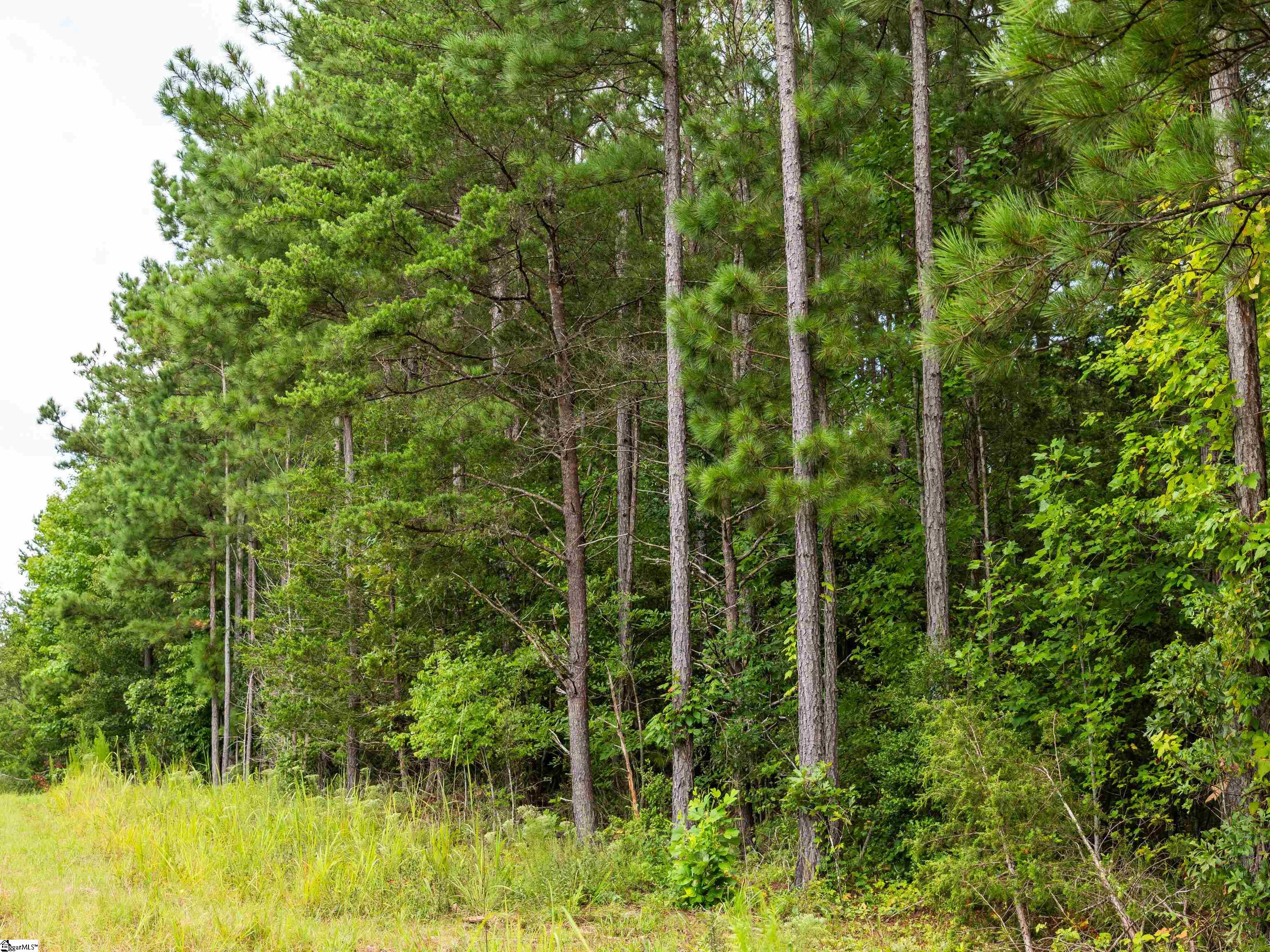 0 Pinedale Road Liberty, SC 29657 - Photo 10 of 11