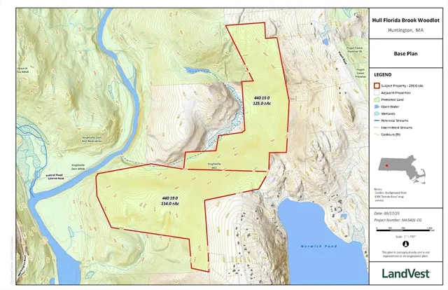 view of a swimming pool