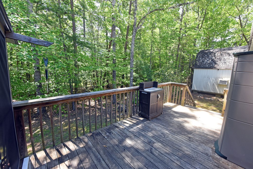 761 Emerine Road Blairsville, GA 30512 - Photo 21 of 39