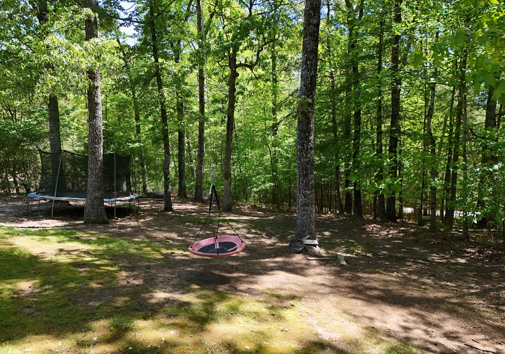 761 Emerine Road Blairsville, GA 30512 - Photo 28 of 39