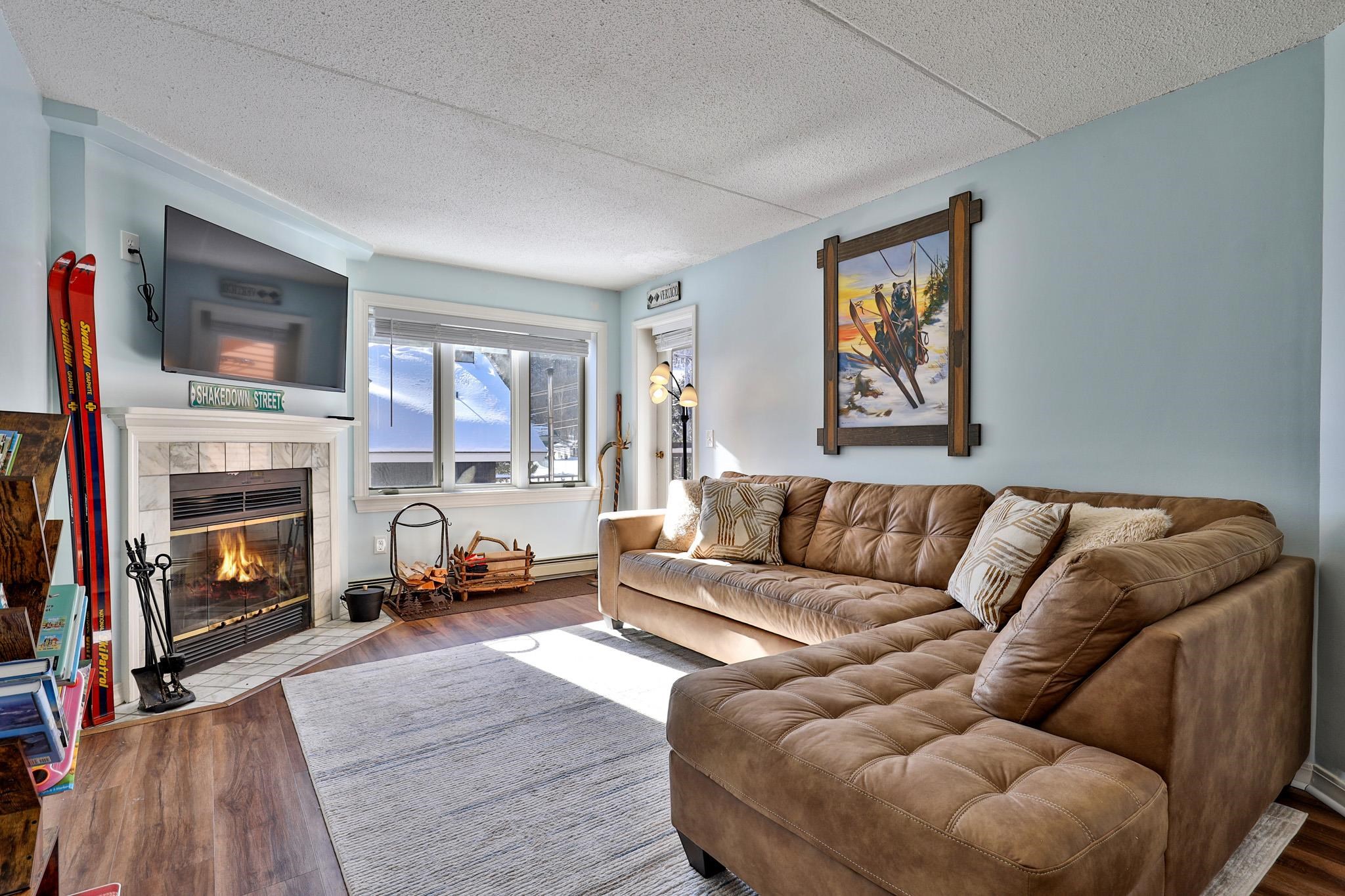 71 Alpine Drive, Unit D306 Killington, VT 05751 - Photo 3 of 27