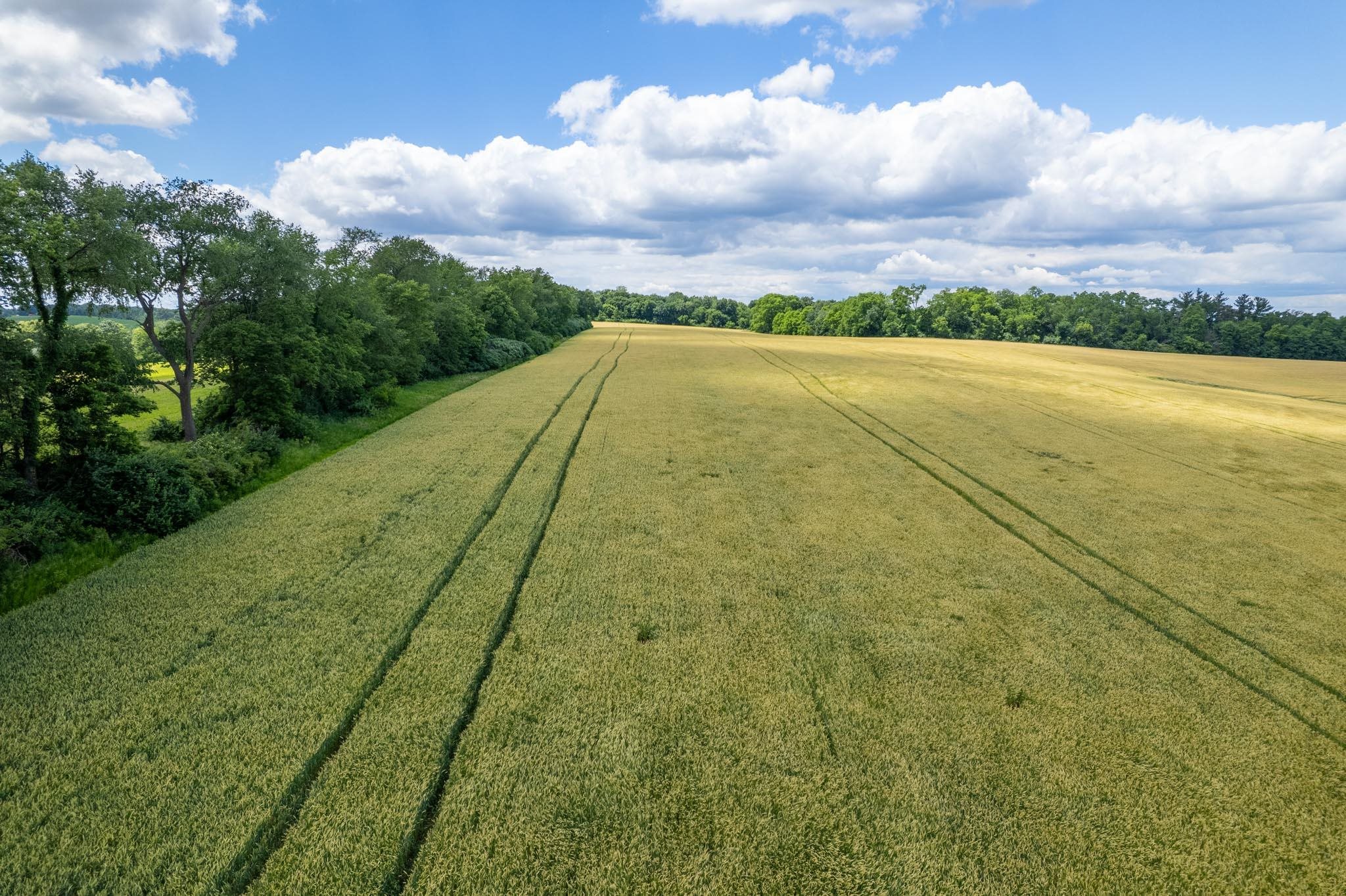 13682 East State Line Road Durand, IL 61024 - Photo 47 of 68