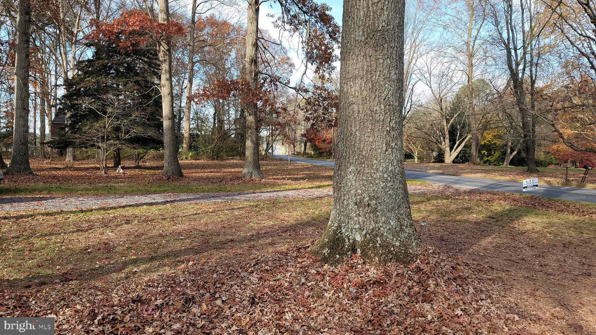 30799 Johnson Road Salisbury, MD 21804 - Photo 14 of 21 Gallery Image 14
