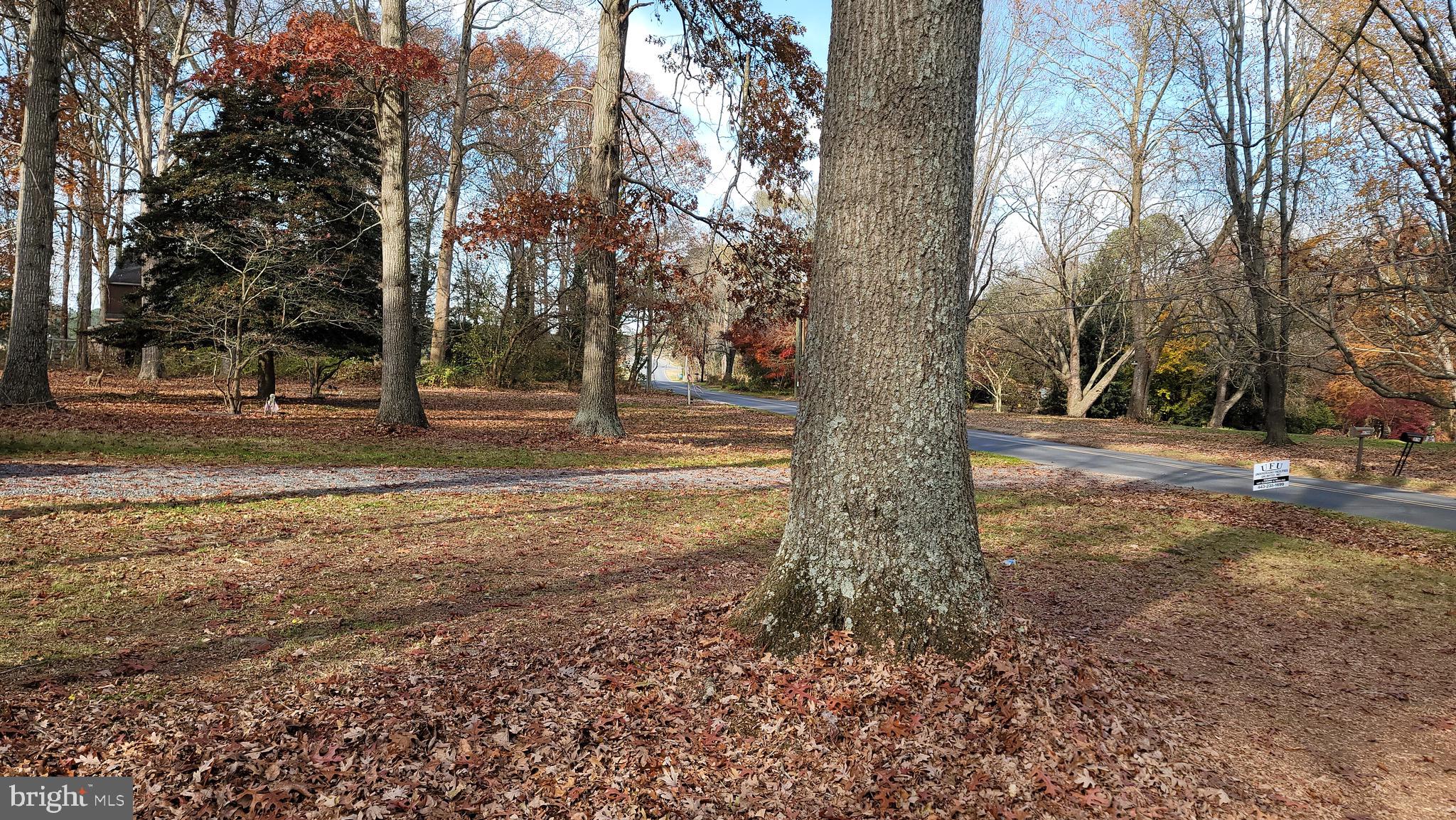 30799 Johnson Road Salisbury, MD 21804 - Photo 9 of 21 Gallery Image 9