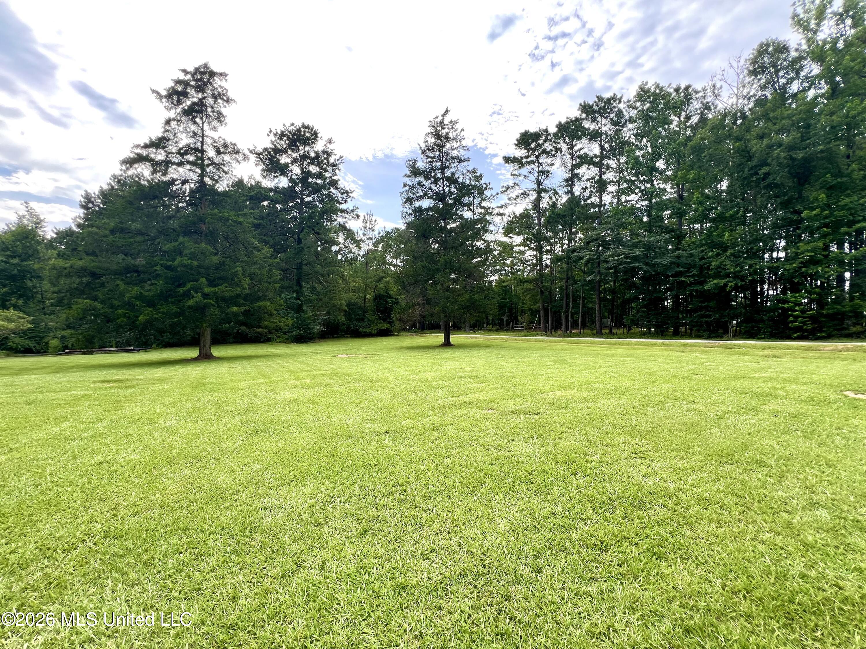 399 Freeman Road Southwest Summit, MS 39666 - Photo 6 of 14 IMG_6602