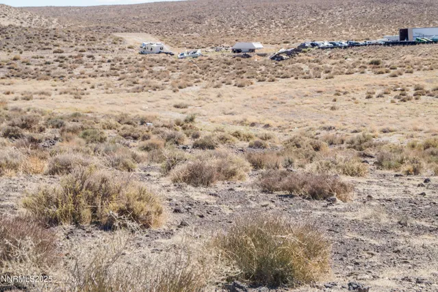 a view of a dry yard covered with fog
