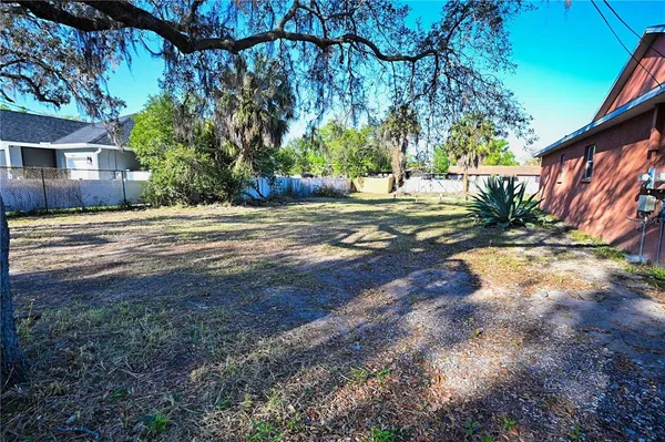 a view of a yard with plants and trees