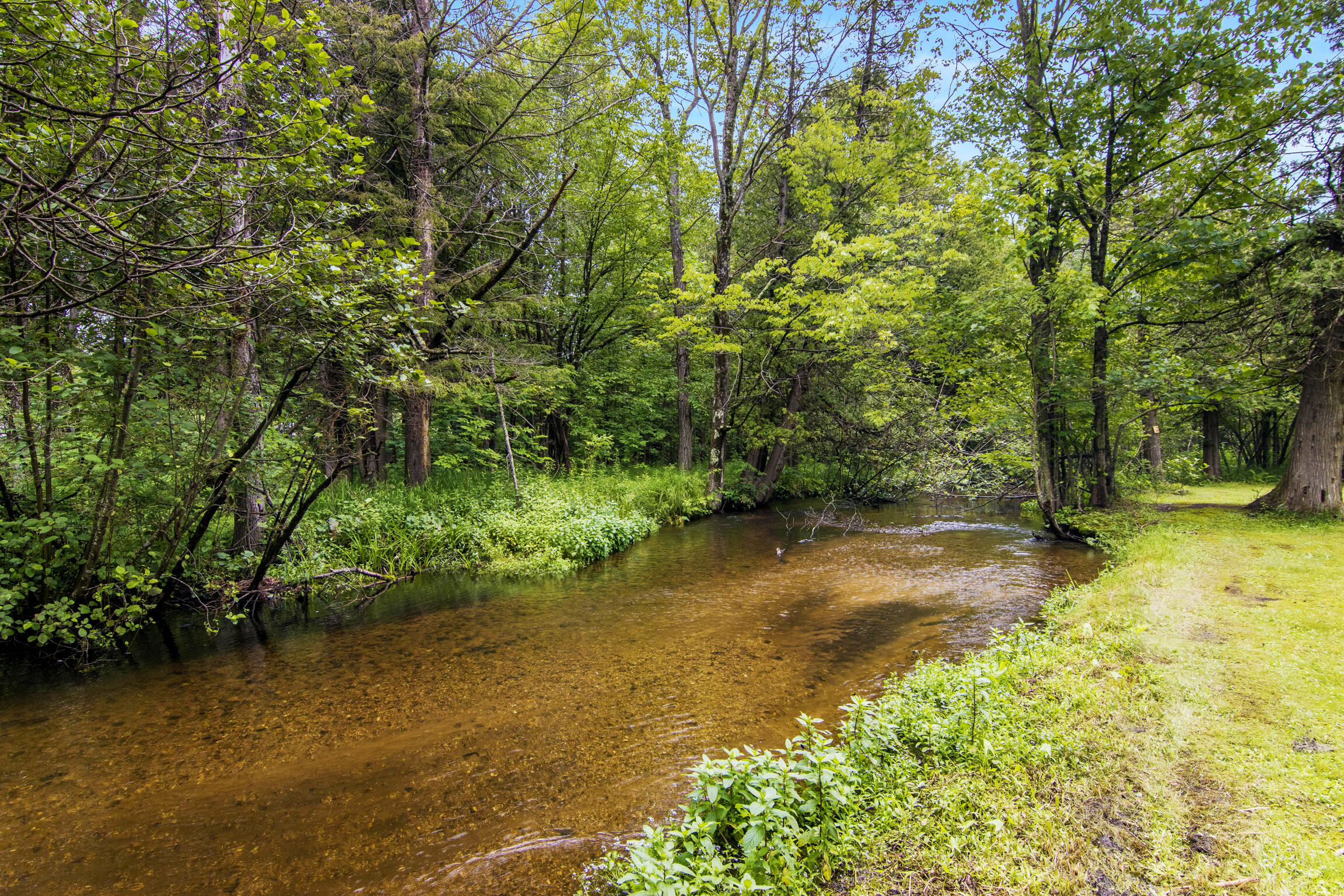 16088 Bentley Road Thompsonville, MI 49683 - Photo 9 of 20 6