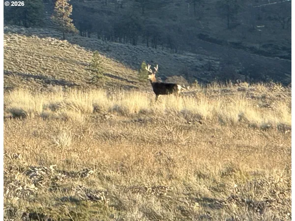 $75,000 | Vista Drive, Goldendale, WA 98620