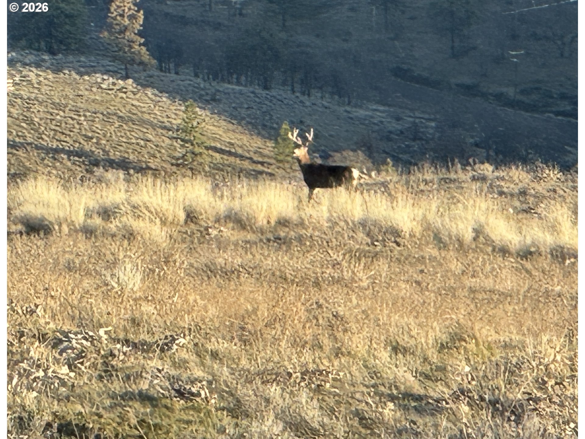 Vista Drive Goldendale, WA 98620 - Photo 1 of 22