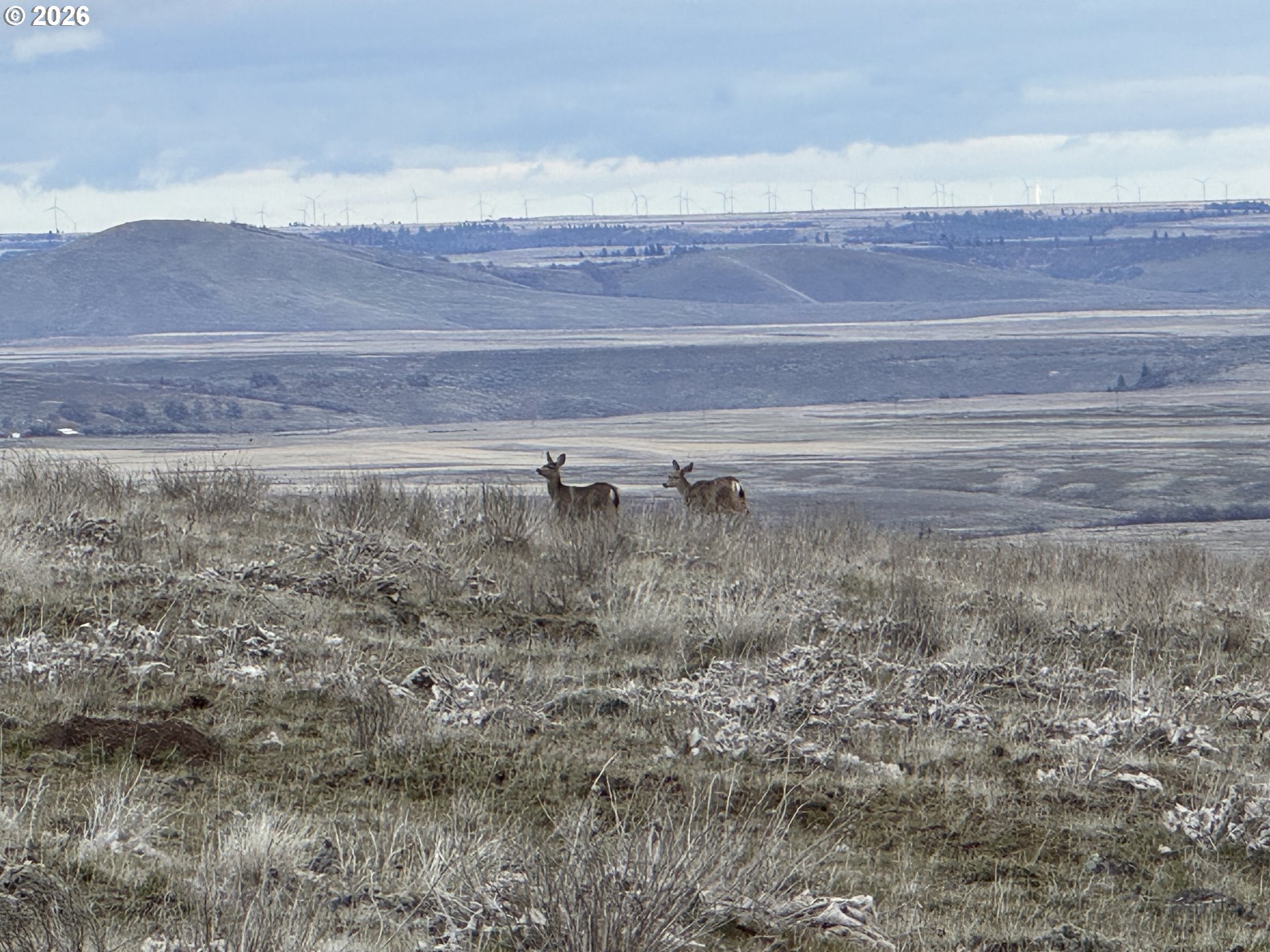 Vista Drive Goldendale, WA 98620 - Photo 12 of 22