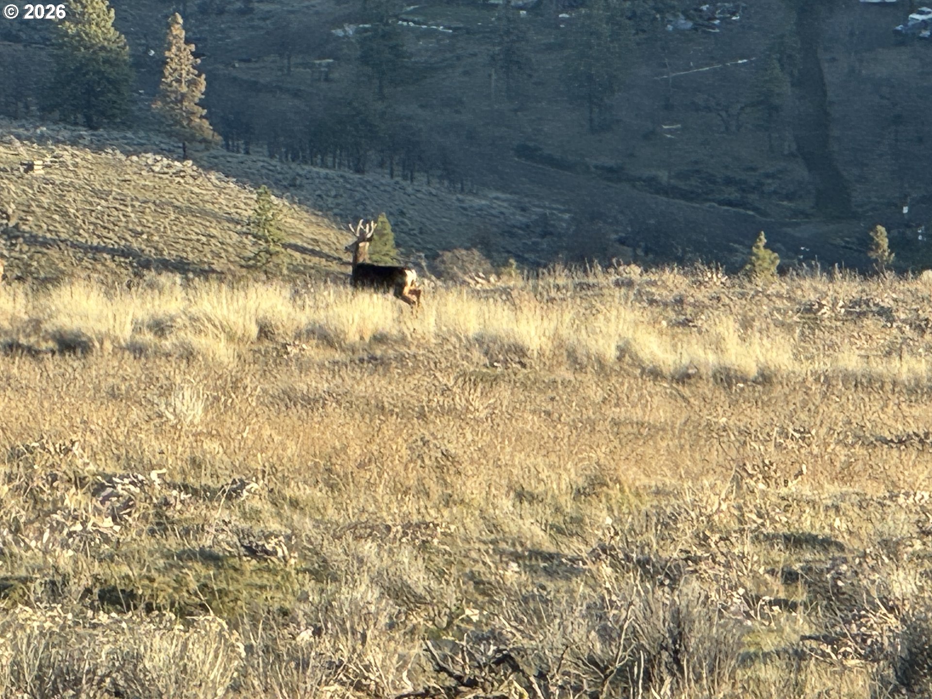 Vista Drive Goldendale, WA 98620 - Photo 2 of 22