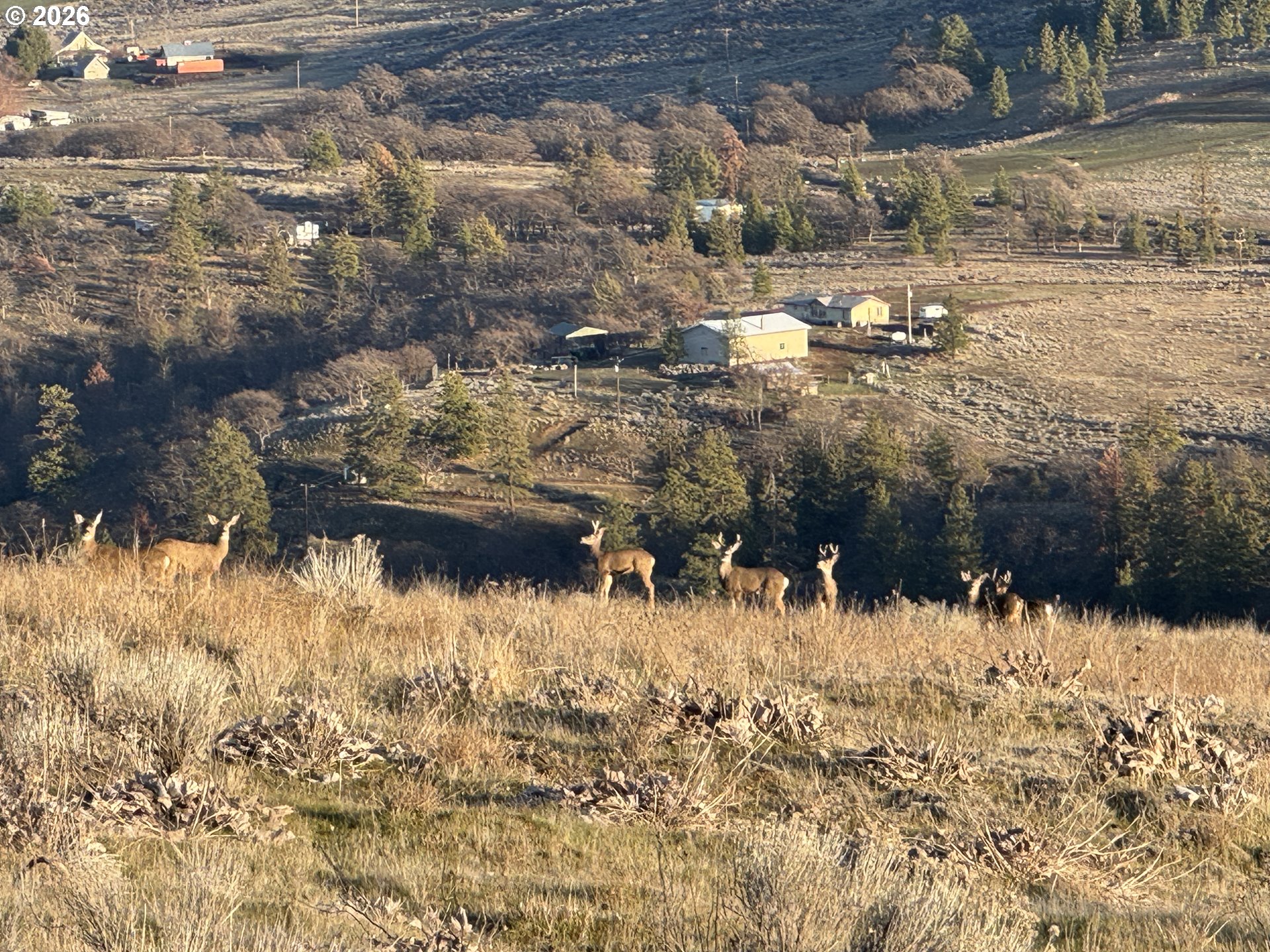 Vista Drive Goldendale, WA 98620 - Photo 3 of 22