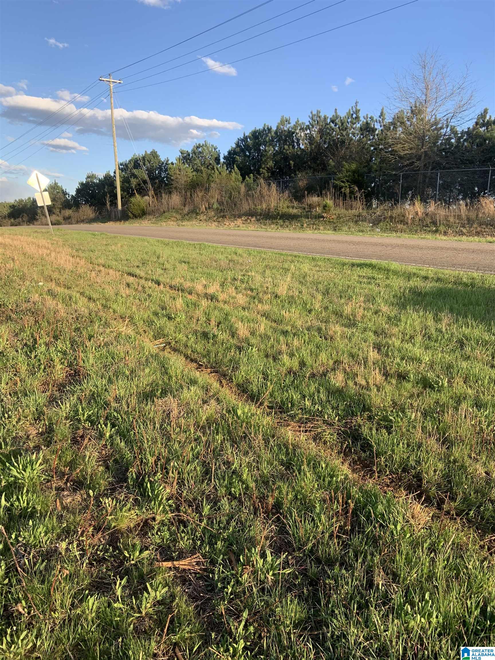 0 Providence Road, Unit 71 ACRES Talladega, AL 35160 - Photo 2 of 9