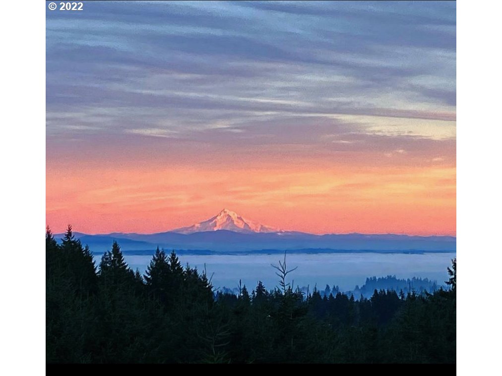 32691 Stone Road Warren, OR 97053 - Photo 2 of 28 Gallery Image 2