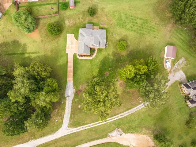 a view of a park with large trees