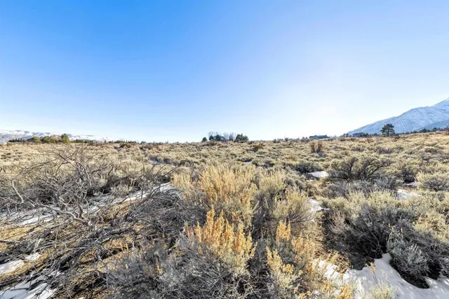 $125,000 | 14 Hawkins Peak Road, Markleeville, CA 96120