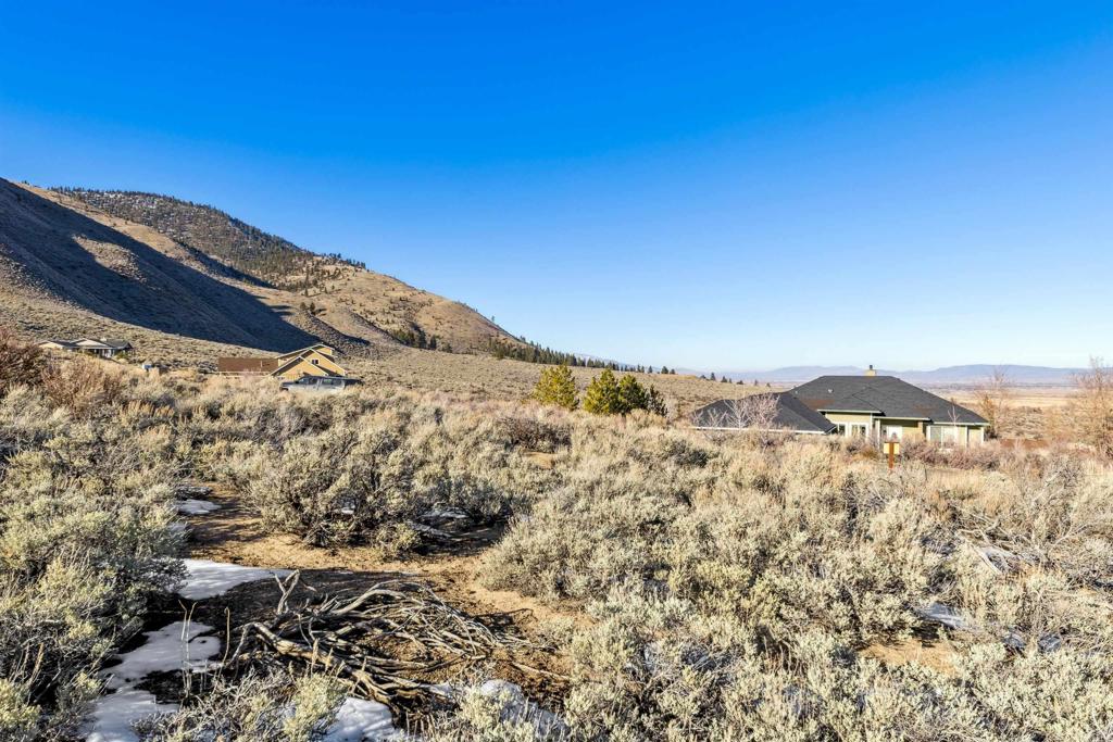 14 Hawkins Peak Road Markleeville, CA 96120 - Photo 16 of 18