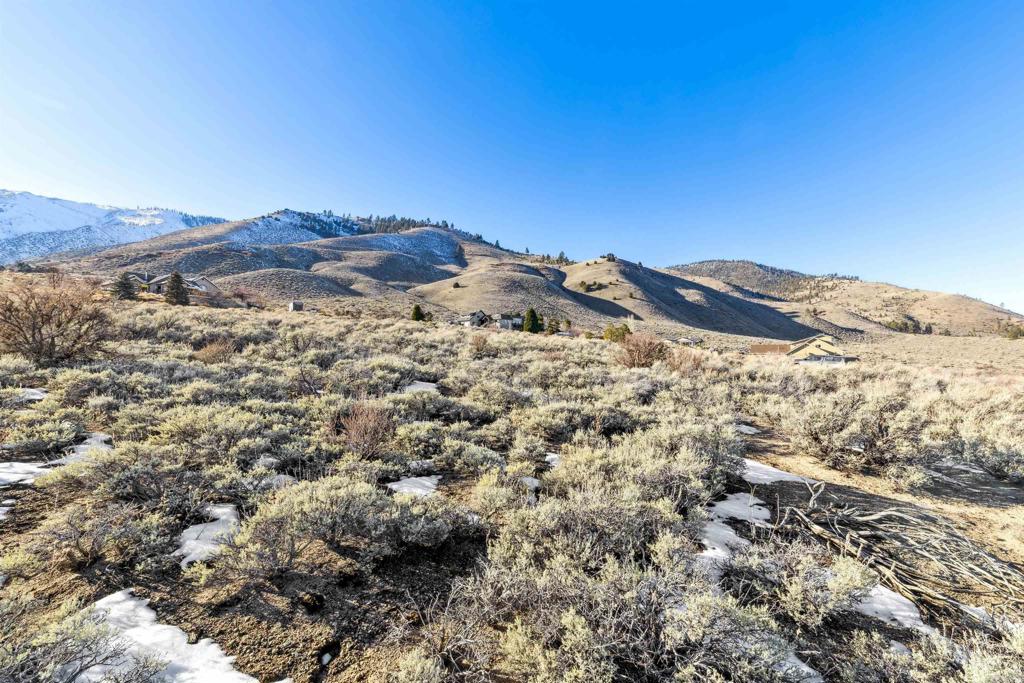 14 Hawkins Peak Road Markleeville, CA 96120 - Photo 17 of 18