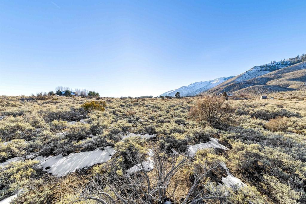 14 Hawkins Peak Road Markleeville, CA 96120 - Photo 18 of 18