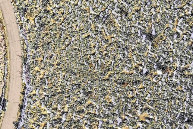 $125,000 | 14 Hawkins Peak Road, Markleeville, CA 96120