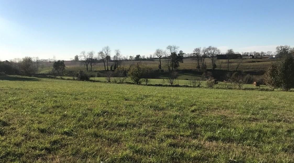 684 Jones Nursery Road Lexington, KY 40509 - Photo 46 of 56 Photo 46
