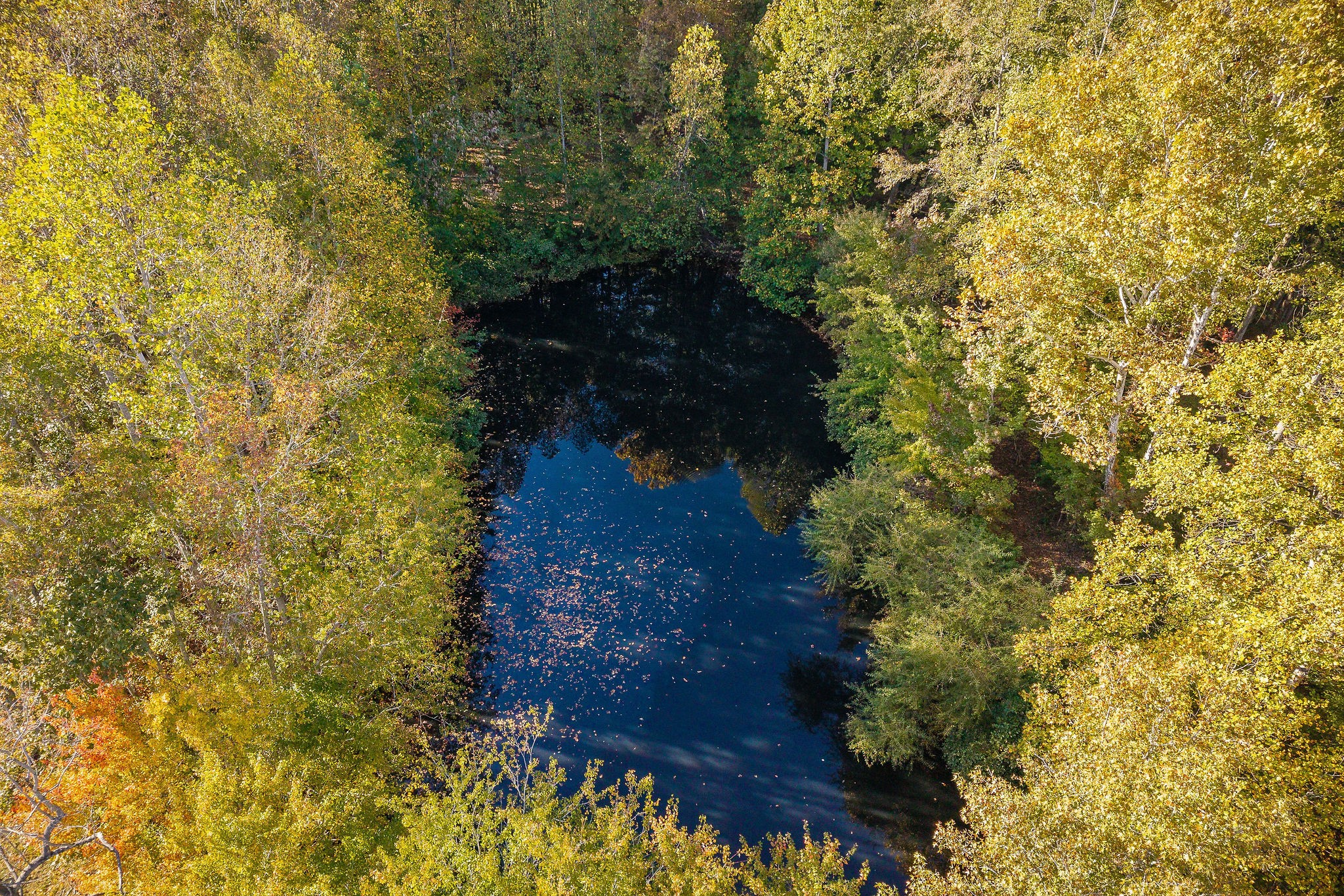 212 Park Road Rickman, TN 38580 - Photo 13 of 18 a view of a yard