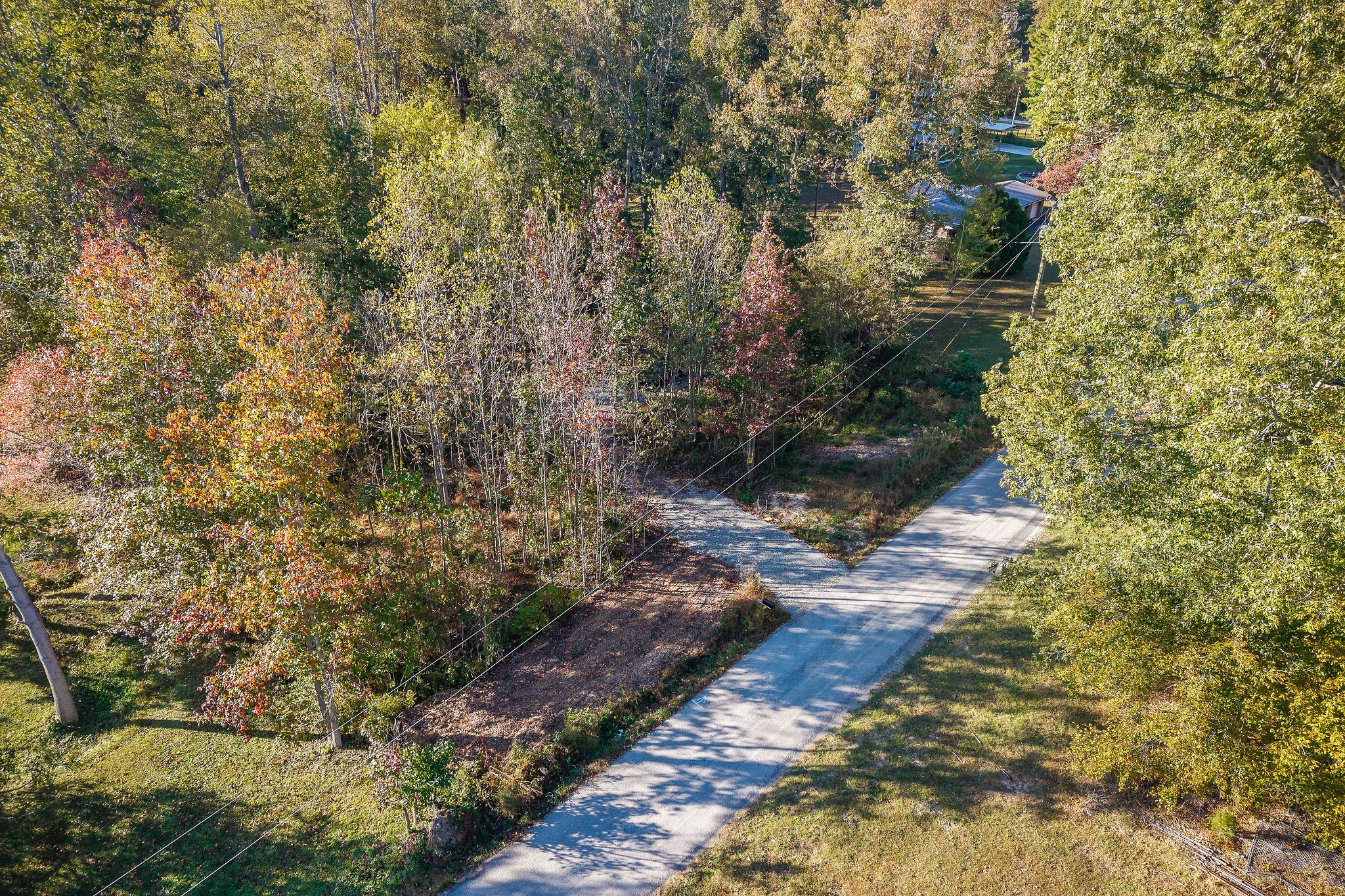 212 Park Road Rickman, TN 38580 - Photo 2 of 18 a view of a yard with plants and tree