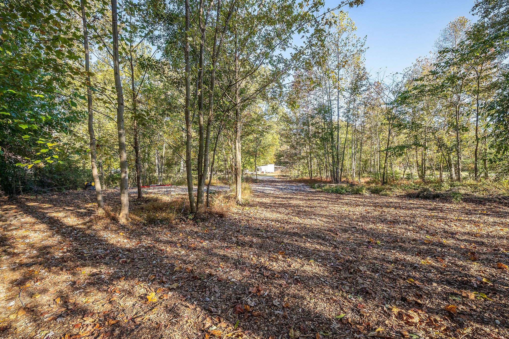 212 Park Road Rickman, TN 38580 - Photo 6 of 18 a view of outdoor space with trees