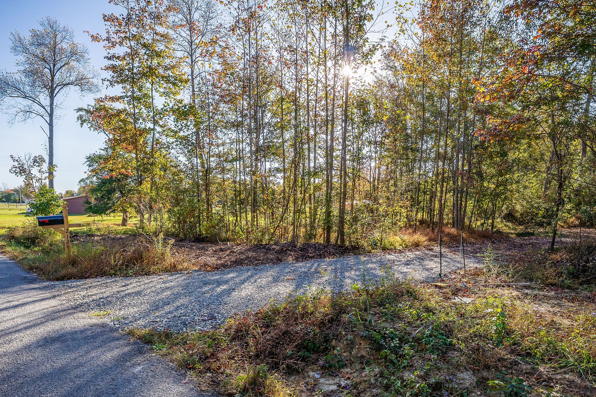 212 Park Road Rickman, TN 38580 - Photo 7 of 18 a view of outdoor space and yard