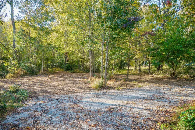 a backyard of a house with large trees and plants