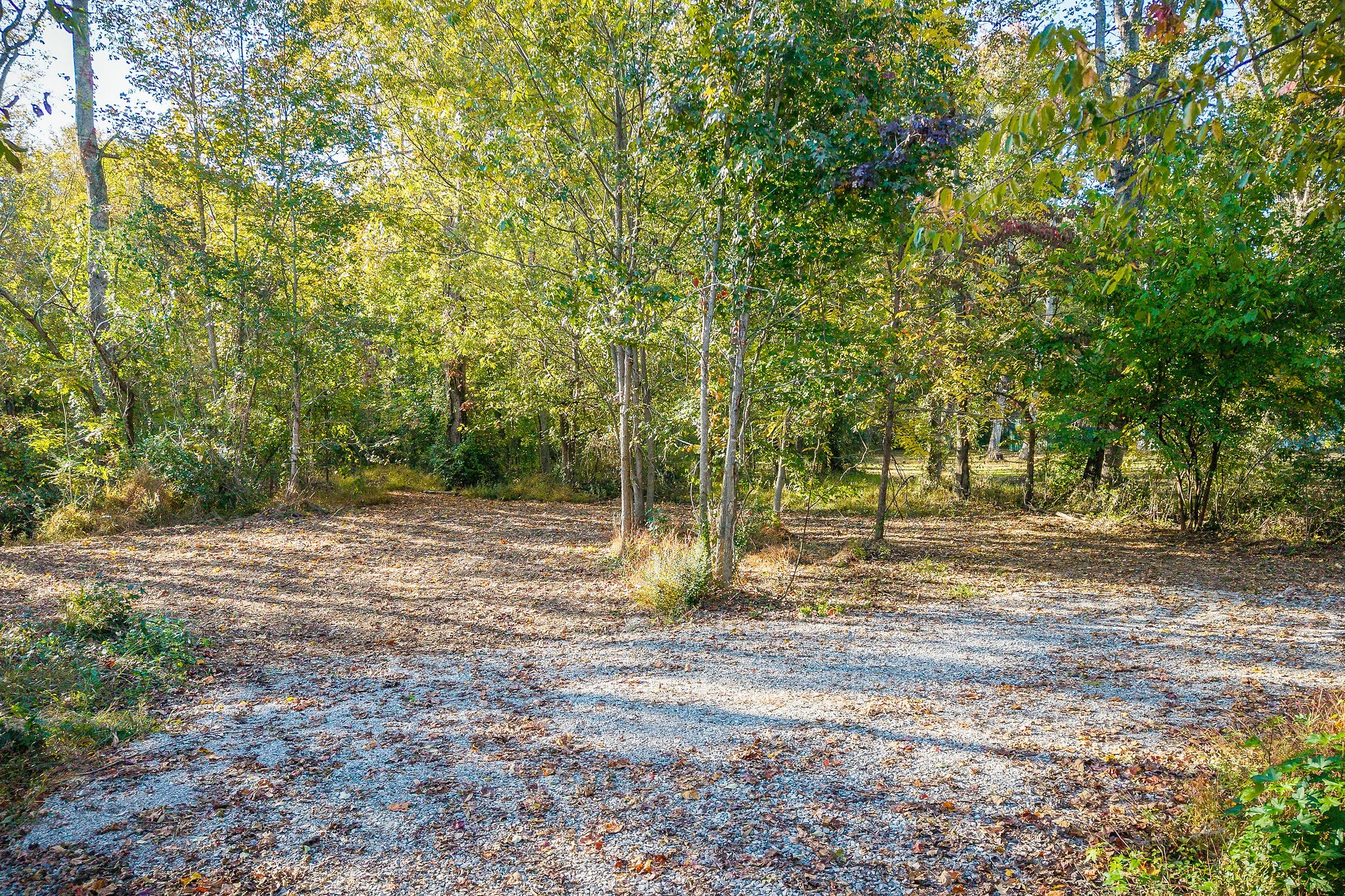 212 Park Road Rickman, TN 38580 - Photo 8 of 18 a backyard of a house with large trees and plants