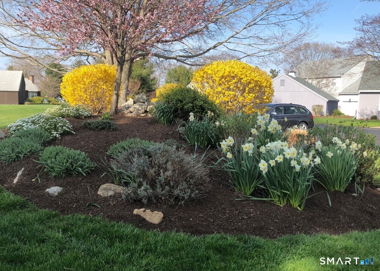 3 Sandgate Circle, Unit 3 Madison, CT 06443 - Photo 26 of 39 Springtime in Windermere