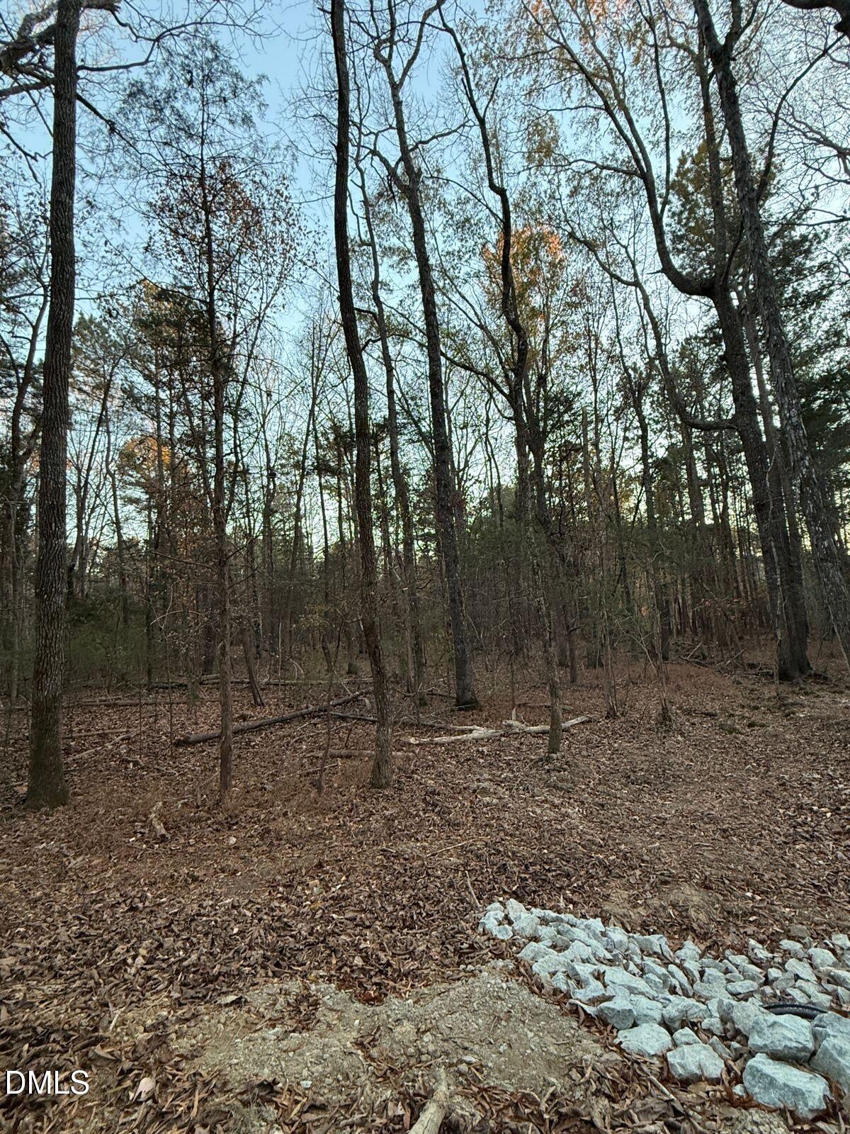 2636 Ritchie Road Chapel Hill, NC 27516 - Photo 5 of 8 8fb0a8e7-0e22-4fa2-b6f1-ad92b1bbfb30