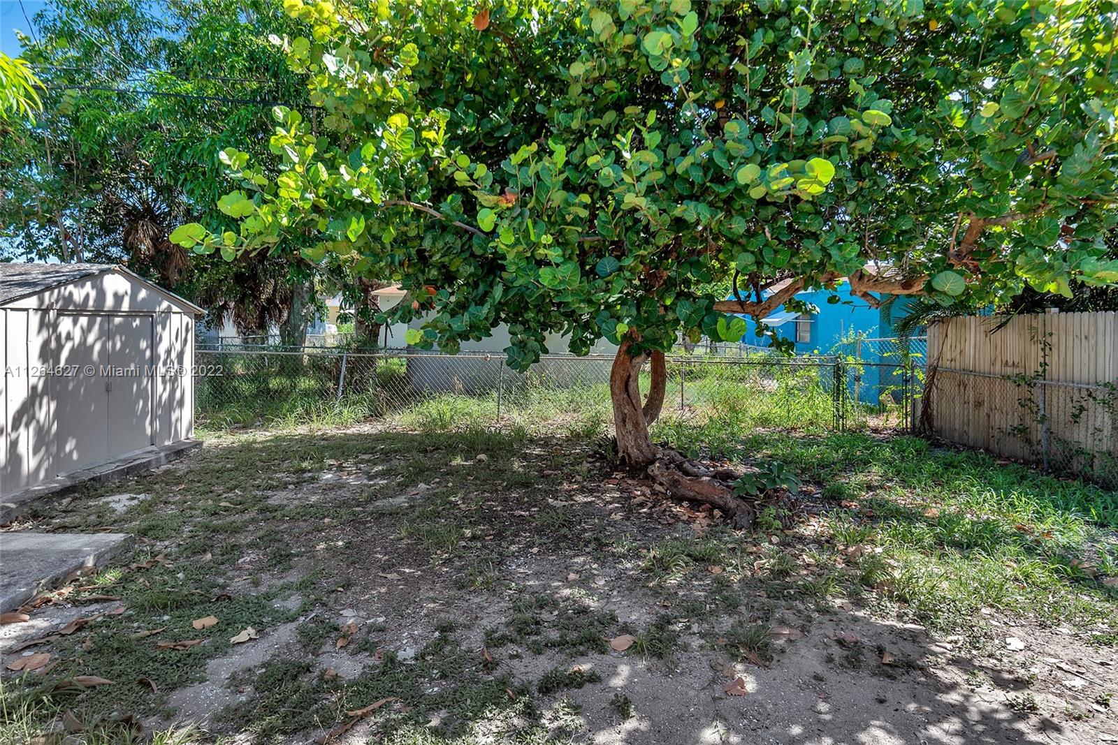 633 West 3rd Street Riviera Beach, FL 33404 - Photo 47 of 52 a backyard of a house with lots of green space