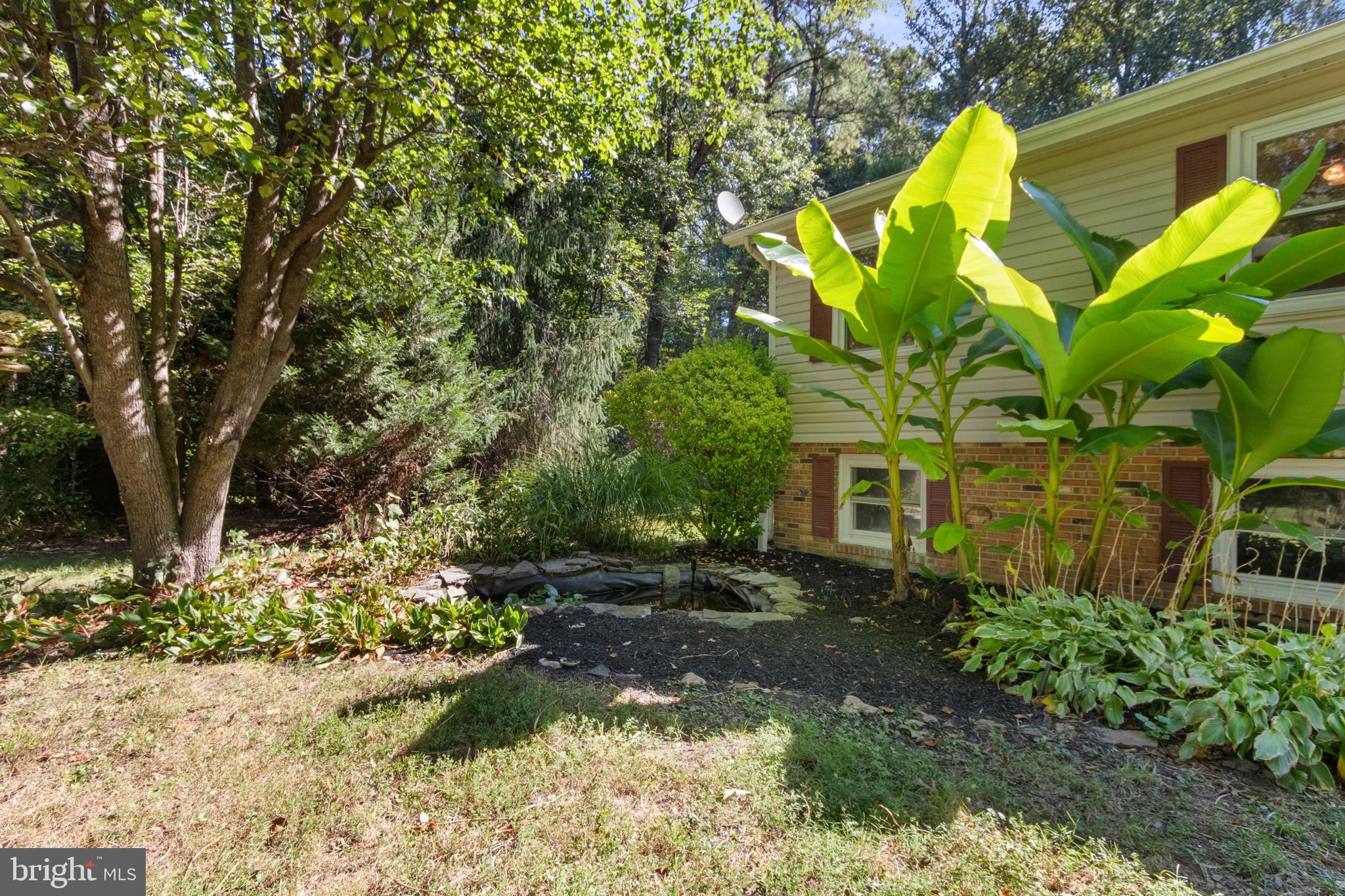 6035 Towles Mill Road Partlow, VA 22534 - Photo 44 of 66 a view of a garden